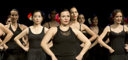 Appassionati al flamenco